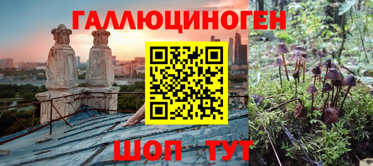 Галлюциногенные грибы мухоморы Борзя